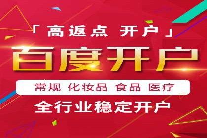 某行业SEM竞价策略的运营实践与效果